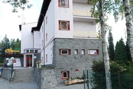 Hotel Manes Svratka Exterior photo