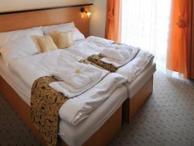 Hotel Manes Svratka Exterior photo