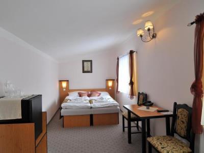 Hotel Manes Svratka Exterior photo